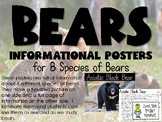 Bear Posters - Information Sheets for 8 Species