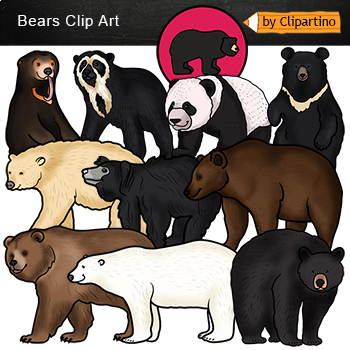 Preview of Bear Types Clip Art/ Bear Clipart Commercial use