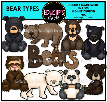 Preview of Bear Types Clip Art Bundle {Educlips Clipart}