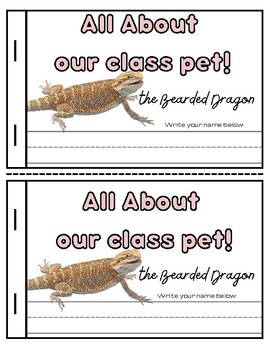 Preview of Bearded Dragon Class Pet Book