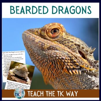 Preview of Bearded Dragon Classroom Pet