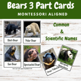 Bears 3 part cards Montessori bear species cards scientifi