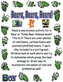 Bears, Bears, Bears (Real, Cartoon, Toy) Sorting Science T
