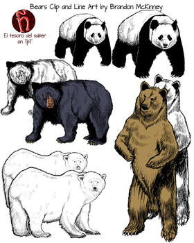 Preview of Bears Clipart and Line art - Personal and Commercial Use