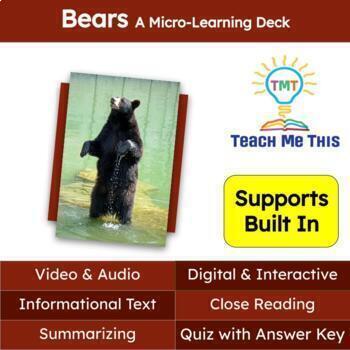 Preview of Bears Informational Text Reading Passage and Activities