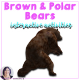 Bears Interactive Adapted Informational Text and Language 