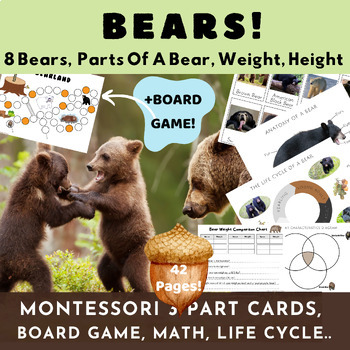 Preview of Bears/Montessori Cards/Parts+Life Cycle Of A Bear/Hibernation/Venn Diagram/Game