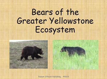 Preview of Bears of the Greater Yellowstone Ecosystem