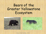 Bears of the Greater Yellowstone Ecosystem