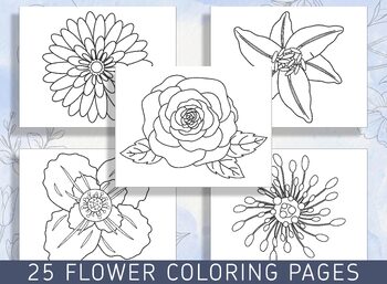 Preview of Beautiful Blooms: 25 Floral Coloring Pages for Relaxation and Creativity