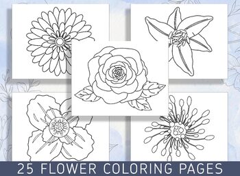 Beautiful Blooms: 25 Floral Coloring Pages for Relaxation and Creativity