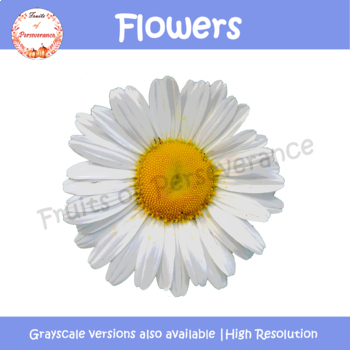 tertiary industry clipart flowers