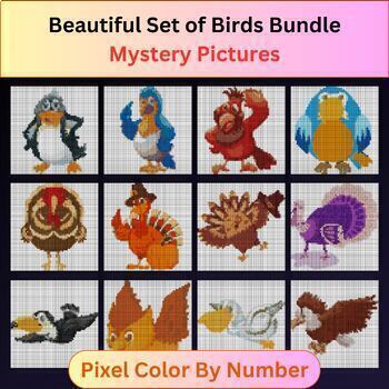 Preview of Beautiful Set of Birds Bundle - Pixel Color By Number / Mystery Pictures