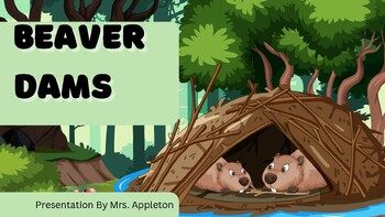 Preview of Beaver Dam- Activity