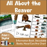 Beaver Information Book | Emergent Reader and Decodable | 