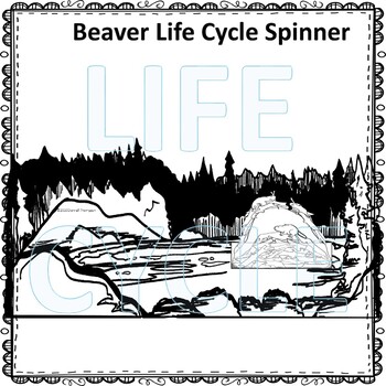 life stages of a beaver