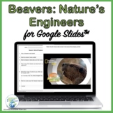 Beaver's Nature's Engineers for Use with Google Slides™