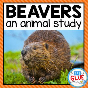 Preview of Woodland Animals: Beavers | Beavers Science Unit | Beavers & Otters | Rodents