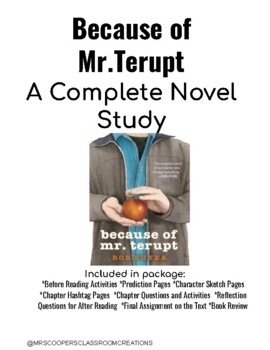 Because of Mr. Terupt [Book]