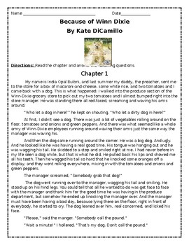 Preview of Because of Winn-Dixie Chapter 1:  Comprehension and Constructive Response