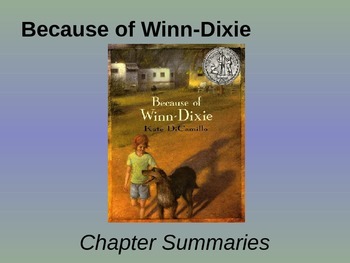 Preview of Because of Winn-Dixie - Novel Study - Chapter Summaries