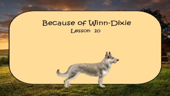 Preview of Because of Winn-Dixie- Lesson 10: Point of View