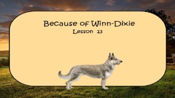 Preview of Because of Winn-Dixie- Lesson 13: Comprehension
