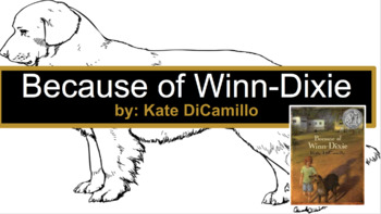 Preview of Because of Winn-Dixie Modified Novel Comprehension Skill (special education)