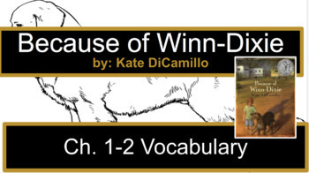 Preview of Because of Winn-Dixie Modified Novel Vocabulary (special education)