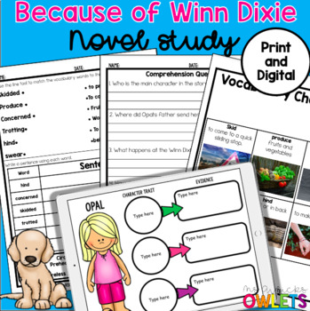 Preview of Because of Winn Dixie Novel Study Print and Digital