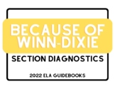 Because of Winn-Dixie Section Diagnostics Posters - 2022 E