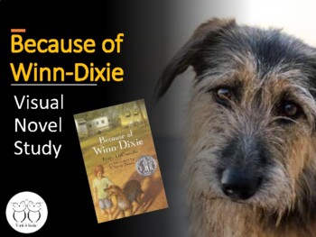 Preview of Because of Winn-Dixie Visual Novel Study with Comprehension Q & A's