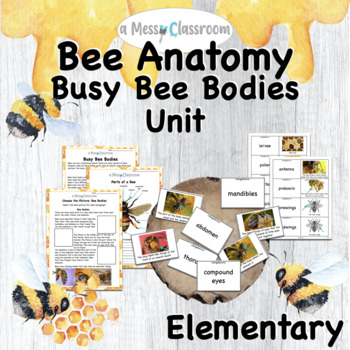 Preview of Integrated Bee Anatomy Unit with Biology, Text Features, & Writing (Elementary)