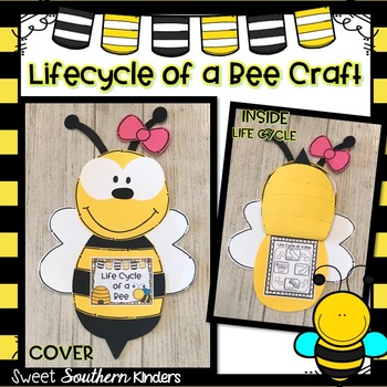 Bee Life Cycle Wheel Spinner Craft And Activity - Honey Bee Life Cycle –  Non-Toy Gifts