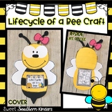 Bee Craft: Life Cycle of a Bee Craft: Spring Crafts