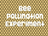 Bee Experiment
