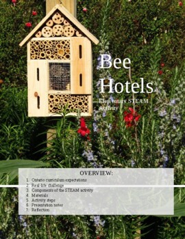 Preview of Bee Hotel STEAM Assignment