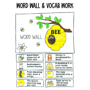 Bee Life Cycle Activities by Tech Teacher Pto3 | TPT
