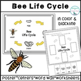 Bee Life Cycle Activities