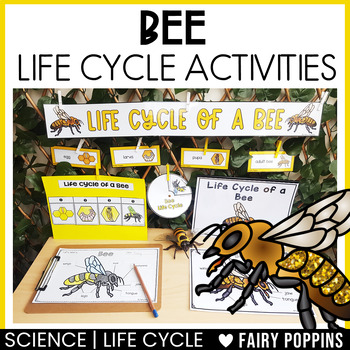 Preview of Life Cycle of a Bee Activities, Craft Wheel, Worksheets, Science Center