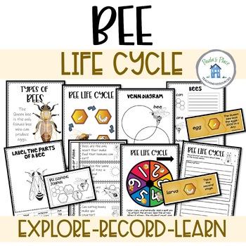 Preview of Bee Life Cycle Activities and Worksheets