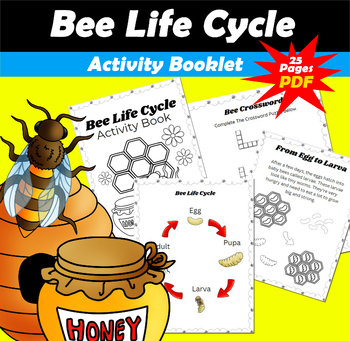 Preview of Bee Life Cycle Activity Book PDF