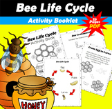 Bee Life Cycle Activity Book PDF