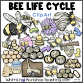 Bee Life Cycle Clip Art  Whimsy Workshop Teaching