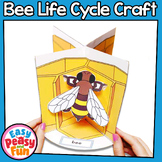 Bee Life Cycle Craft | 3D Diorama Craft Activity