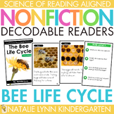 Bee Life Cycle Differentiated Nonfiction Decodable Reader 