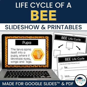 Preview of Bee Life Cycle Lesson Slideshow for Google Slides™ & Printable Worksheets
