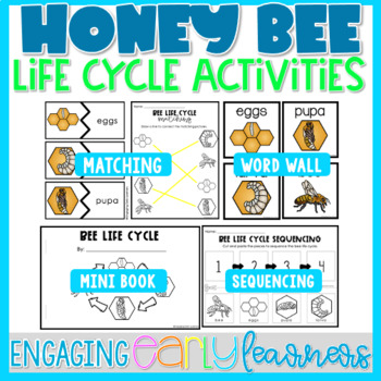 Preview of Bee Life Cycle Printable Word Wall & Activities | Preschool PreK Kindergarten