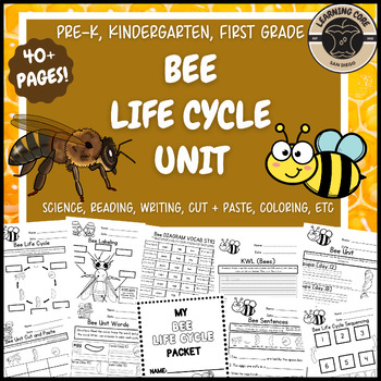 Preview of Bee Life Cycle Science Worksheets Bees PreK Kindergarten First Second Third TK