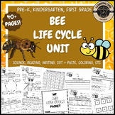 Bee Life Cycle Science Worksheets Bees PreK Kindergarten F